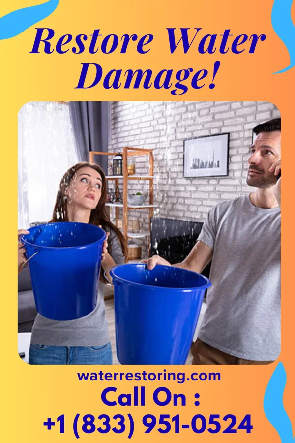 water restoration Reliable Damage Recovery Experts Wayne