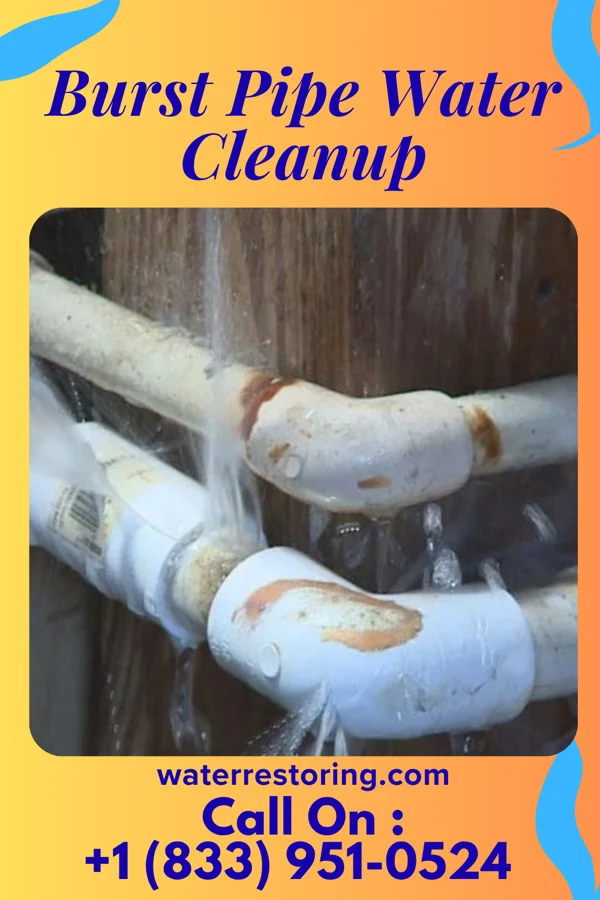 Burst Pipe Water Cleanup in Wayne, WV