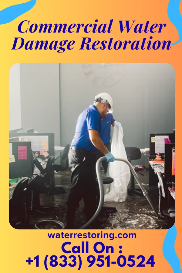 Commercial Water Damage Restoration in Wayne, WV