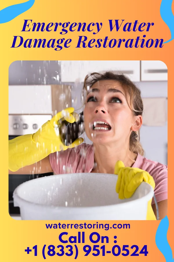 Emergency Water Damage Restoration in Wayne, WV