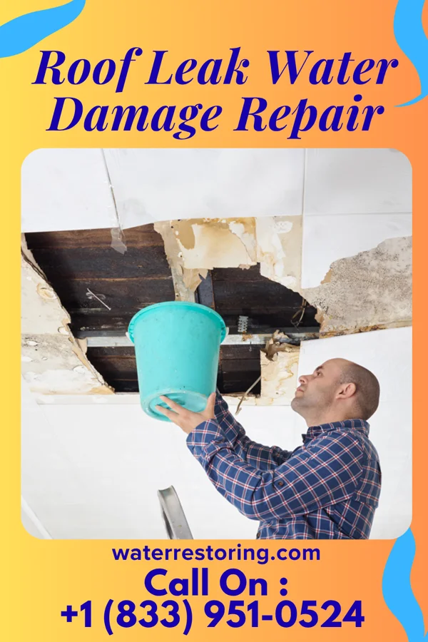 Roof Leak Water Damage Repair in Wayne, WV