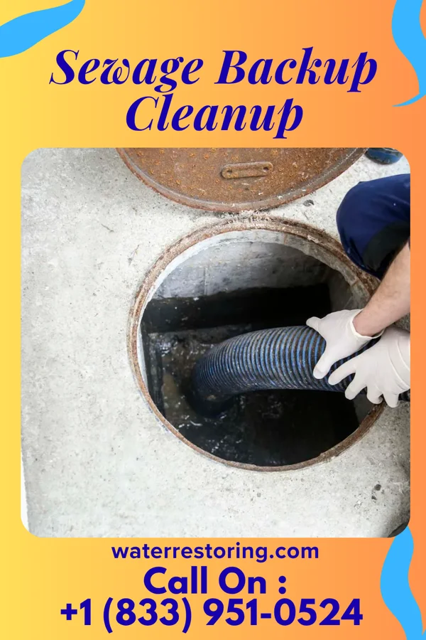 Sewage Backup Cleanup in Wayne, WV