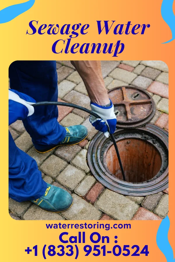 Sewage Water Cleanup in Wayne, WV
