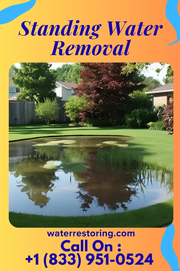 Standing Water Removal in Wayne, WV